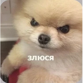 Смешнявки — стикер для MAX