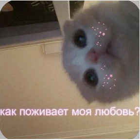Смешнявки — стикер для MAX