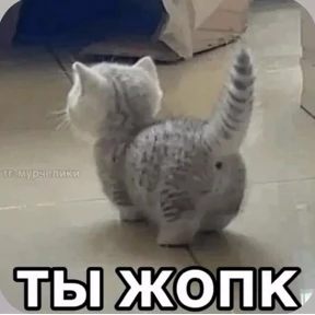 Смешнявки — стикер для MAX