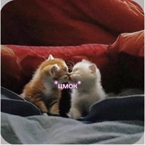 Смешнявки — стикер для MAX