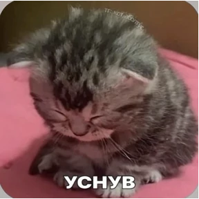 Смешнявки — стикер для MAX