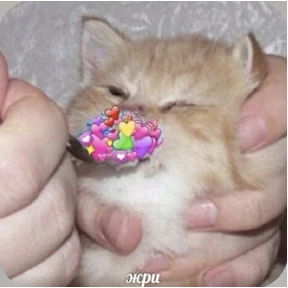 Смешнявки — стикер для MAX