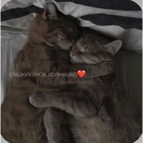 Смешнявки — стикер для MAX