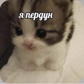 Смешнявки — стикер для MAX