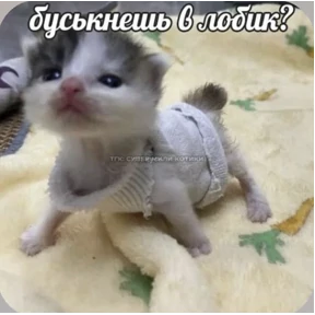 Смешнявки — стикер для MAX