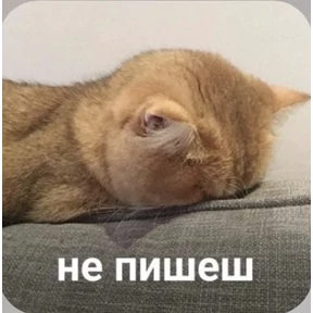 Смешнявки — стикер для MAX
