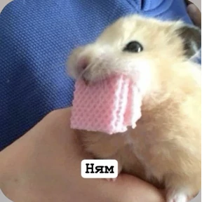 Смешнявки — стикер для MAX