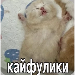 Смешнявки — стикер для MAX