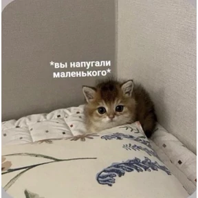 Смешнявки — стикер для MAX