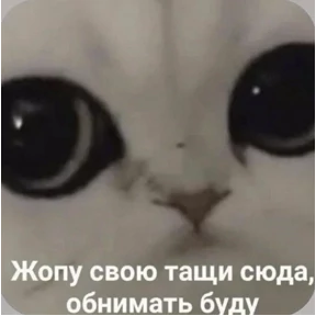 Смешнявки — стикер для MAX
