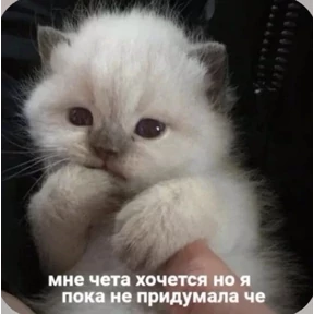 Смешнявки — стикер для MAX