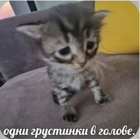 Смешнявки — стикер для MAX