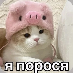Смешнявки — стикер для MAX