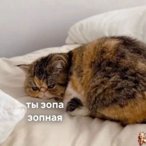 Смешнявки — стикер для MAX