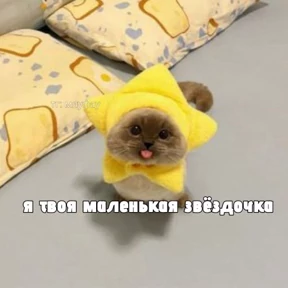 Смешнявки — стикер для MAX