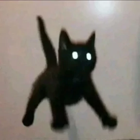 котики для котёночка — стикер для MAX