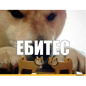 Брат 2 — стикер для MAX