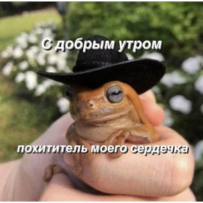 Стики1 — стикер для MAX