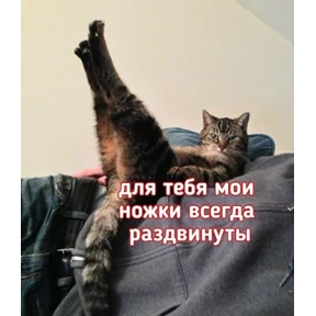 Стики1 — стикер для MAX