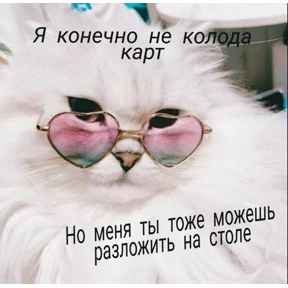Стики1 — стикер для MAX