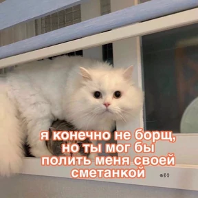 Стики1 — стикер для MAX