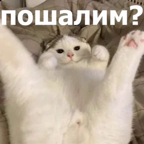 Стики1 — стикер для MAX