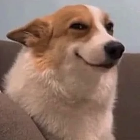 Мемс — стикер для MAX