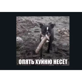 Почему — стикер для MAX