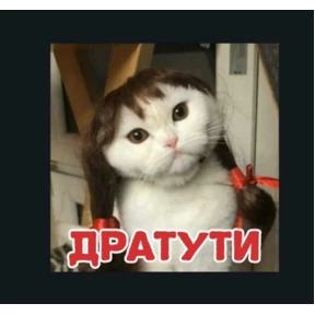 Почему — стикер для MAX