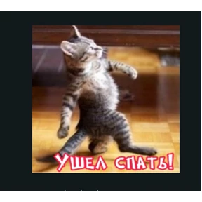 Почему — стикер для MAX