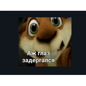Почему — стикер для MAX