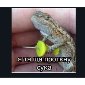 Почему — стикер для MAX