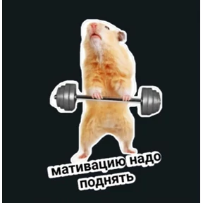 Почему — стикер для MAX