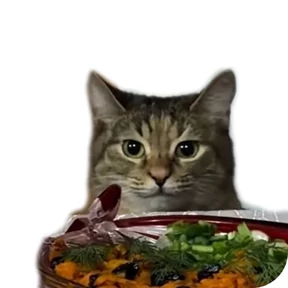 Котик — стикер для MAX