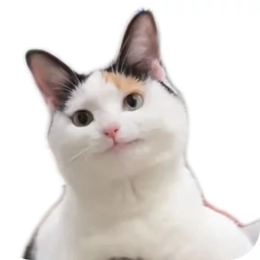 Котик — стикер для MAX