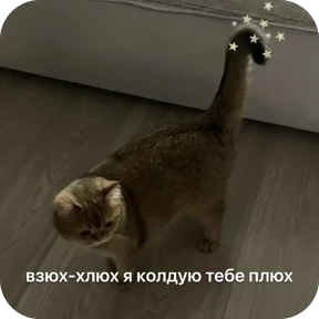 Булосьная полисия — стикер для MAX