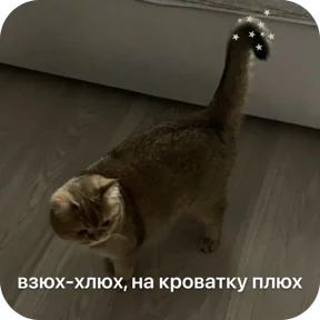 Булосьная полисия — стикер для MAX