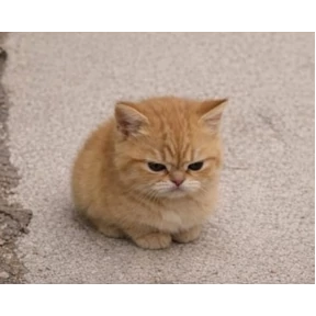 Фу — стикер для MAX