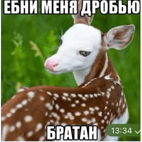 pox — стикер для MAX