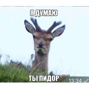 pox — стикер для MAX