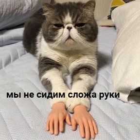 гламурная жизнь — стикер для MAX