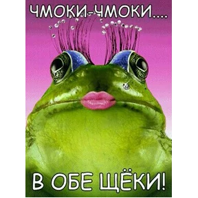 гламурная жизнь — стикер для MAX