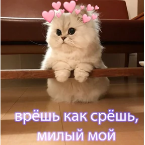 гламурная жизнь — стикер для MAX