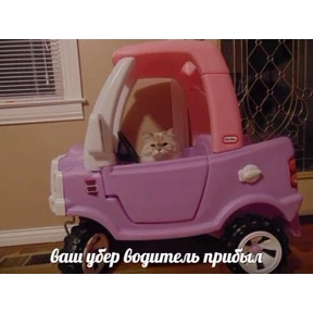 гламурная жизнь — стикер для MAX