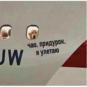 гламурная жизнь — стикер для MAX