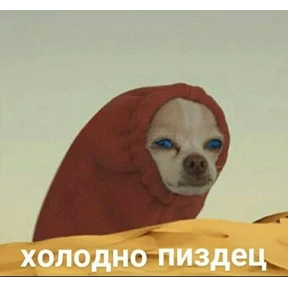 гламурная жизнь — стикер для MAX