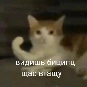гламурная жизнь — стикер для MAX