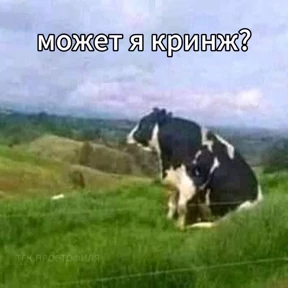 гламурная жизнь — стикер для MAX