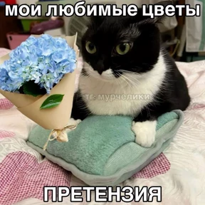 гламурная жизнь — стикер для MAX