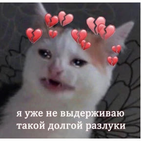 гламурная жизнь — стикер для MAX